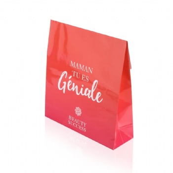 Printed Self-Seal Paper Gift Bags