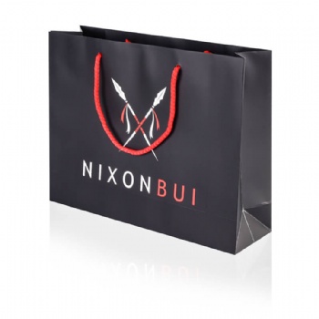 Printed Laminated Paper Bags